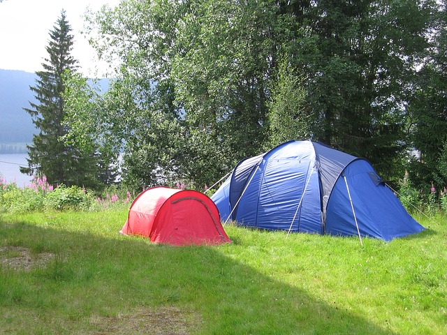 Most recognised voluntary qualification is DofE, survey finds